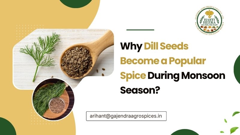Why Dill Seeds Become a Popular Spice During Monsoon Season