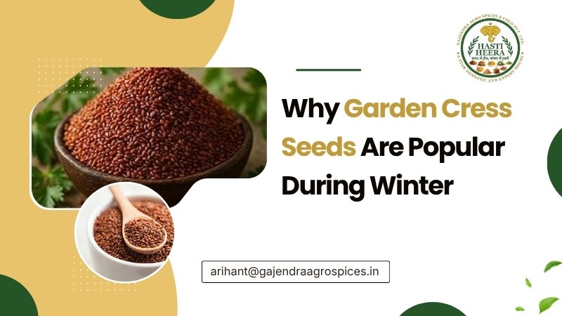Why Garden Cress Seeds Are Popular During Winter