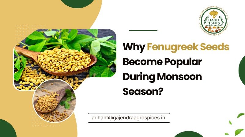 Why Fenugreek Seeds Become Popular During Monsoon Season