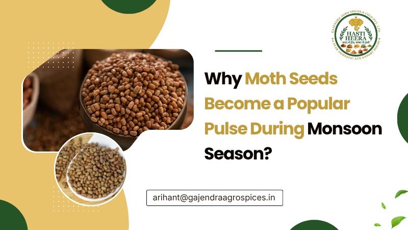 Why Moth Seeds Are Popular During Monsoon Season