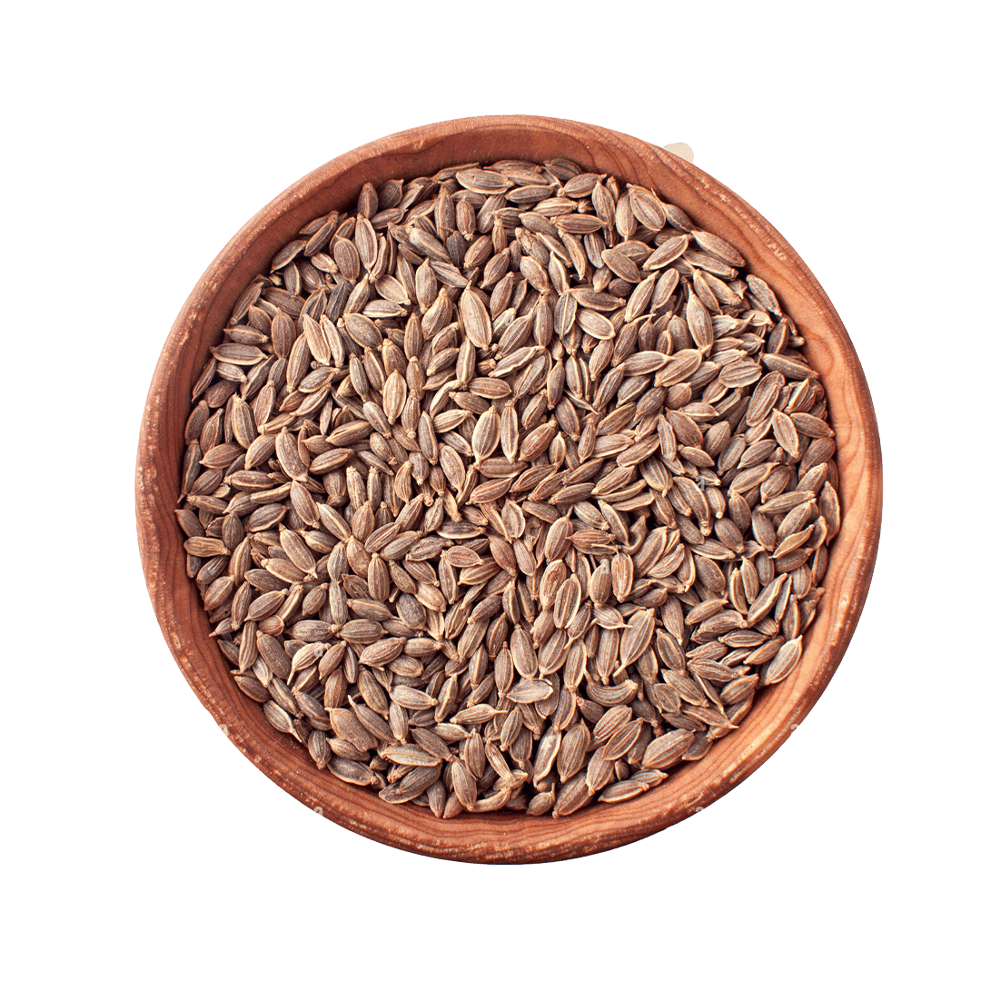 Dill Seeds
