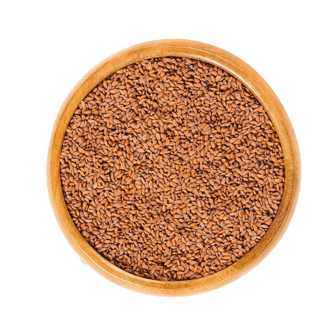 Garden Cress Seed
